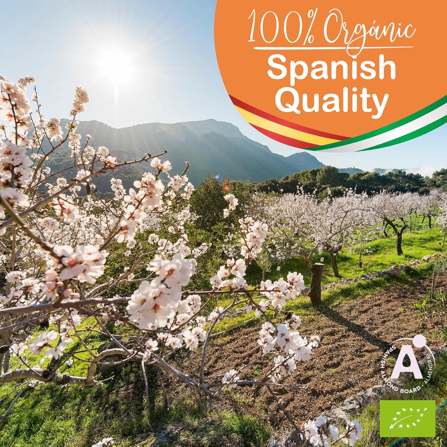 Aceite De Almendras, Organico, Prensado En Frio, Puro, Natural. Aceite Masaje Profesional, Aceite Cabello Y Pestañas, Hidratante Corporal Manos, Uñas, Antiedad, Estrias, Embarazo, 1000 Ml